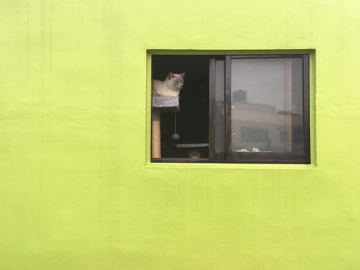 Busan Backpackers Exterior photo